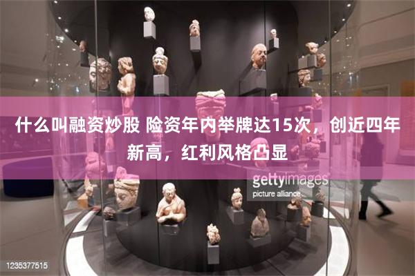 什么叫融资炒股 险资年内举牌达15次，创近四年新高，红利风格凸显