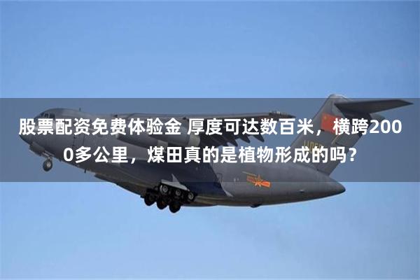 股票配资免费体验金 厚度可达数百米，横跨2000多公里，煤田真的是植物形成的吗？