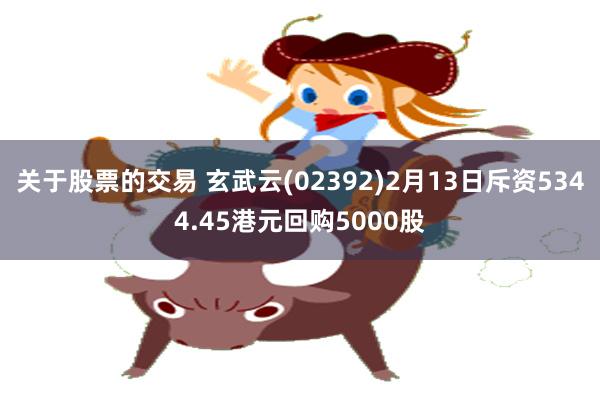 关于股票的交易 玄武云(02392)2月13日斥资5344.45港元回购5000股