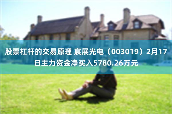 股票杠杆的交易原理 宸展光电（003019）2月17日主力资金净买入5780.26万元