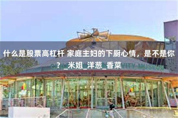 什么是股票高杠杆 家庭主妇的下厨心情，是不是你？_米姐_洋葱_香菜
