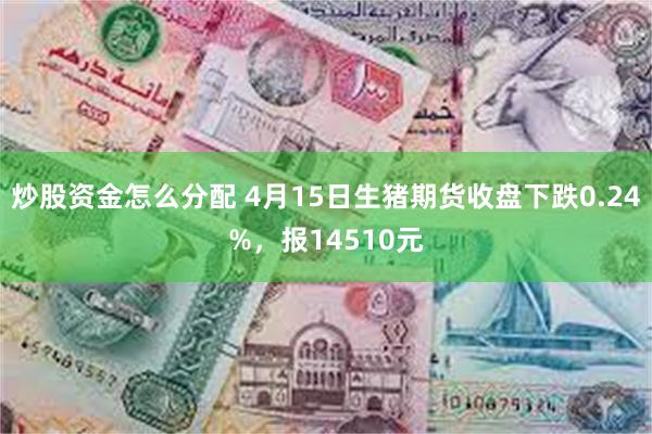 炒股资金怎么分配 4月15日生猪期货收盘下跌0.24%，报14510元