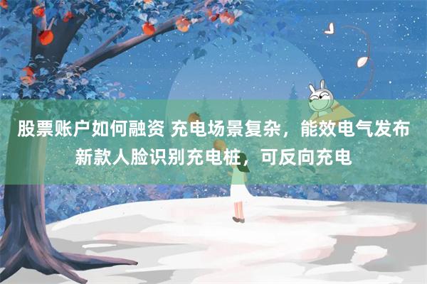 股票账户如何融资 充电场景复杂，能效电气发布新款人脸识别充电桩，可反向充电