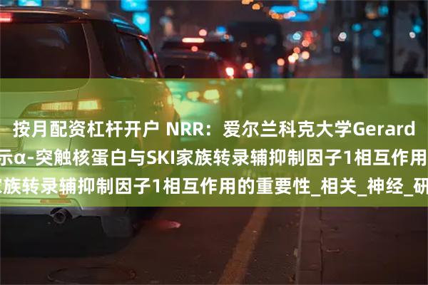 按月配资杠杆开户 NRR：爱尔兰科克大学Gerard W. O’Keeffe团队揭示α-突触核蛋白与SKI家族转录辅抑制因子1相互作用的重要性_相关_神经_研究
