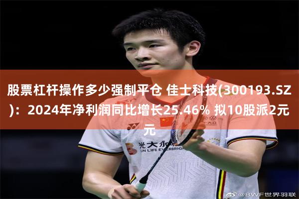 股票杠杆操作多少强制平仓 佳士科技(300193.SZ)：2024年净利润同比增长25.46% 拟10股派2元