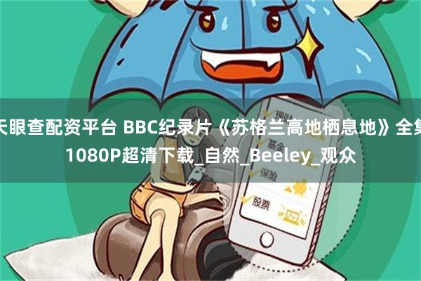 天眼查配资平台 BBC纪录片《苏格兰高地栖息地》全集1080P超清下载_自然_Beeley_观众