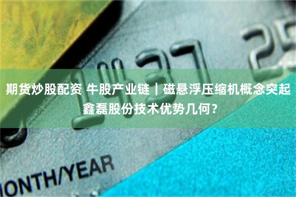 期货炒股配资 牛股产业链｜磁悬浮压缩机概念突起 鑫磊股份技术优势几何？