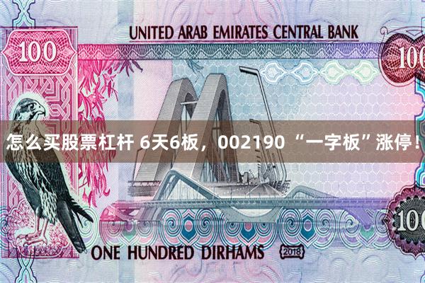 怎么买股票杠杆 6天6板，002190 “一字板”涨停！