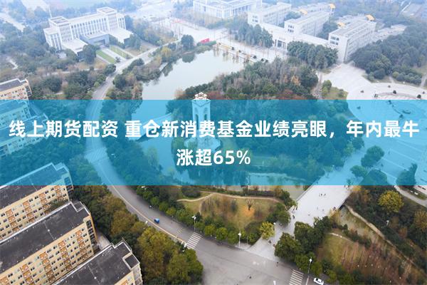 线上期货配资 重仓新消费基金业绩亮眼，年内最牛涨超65%